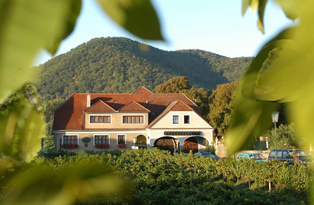Weingut-Pension Stockingerhof Dürnstein المظهر الخارجي الصورة